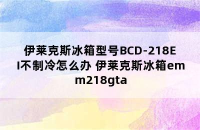 伊莱克斯冰箱型号BCD-218EI不制冷怎么办 伊莱克斯冰箱emm218gta